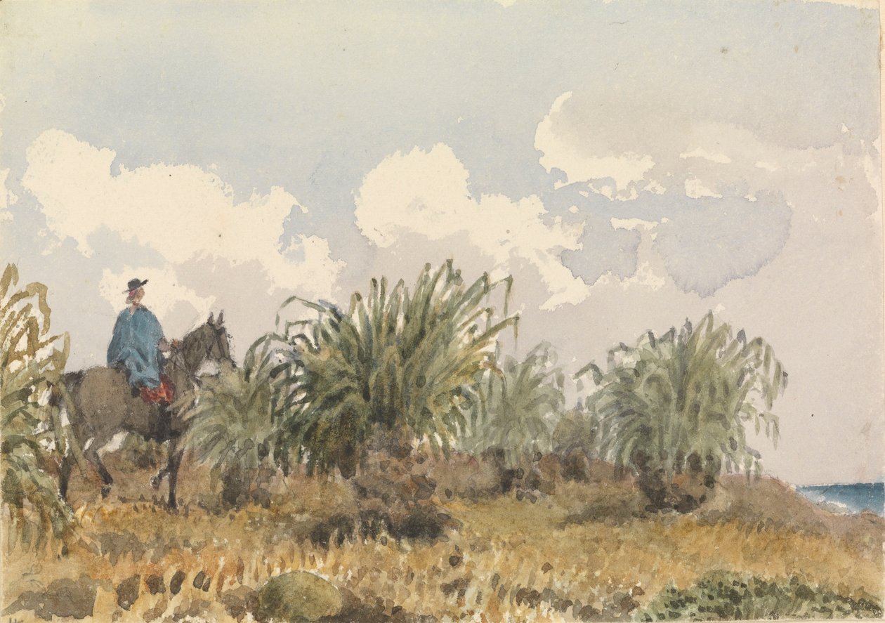 Tussac Grass, Islas Malvinas de Admiral Sir Edward Gennys Fanshawe