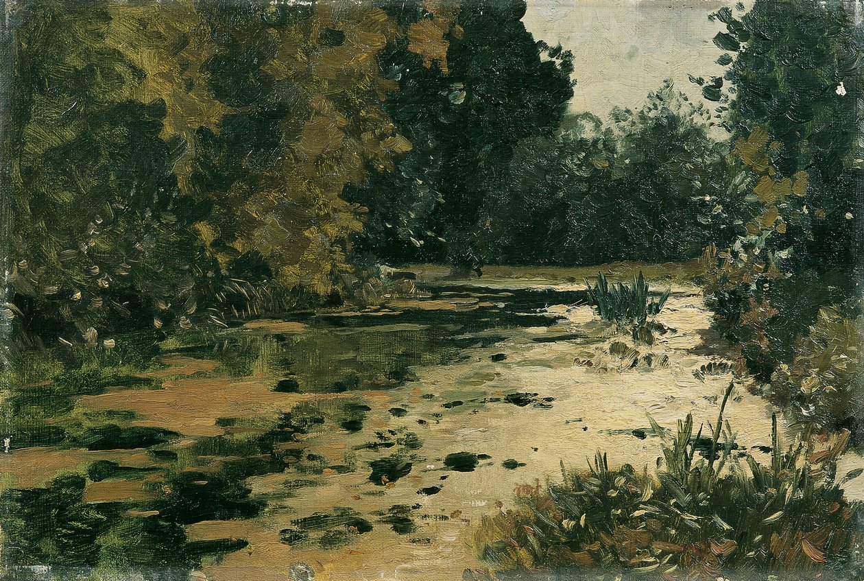 Waldtümpel de Adolf Gustav Ditscheiner
