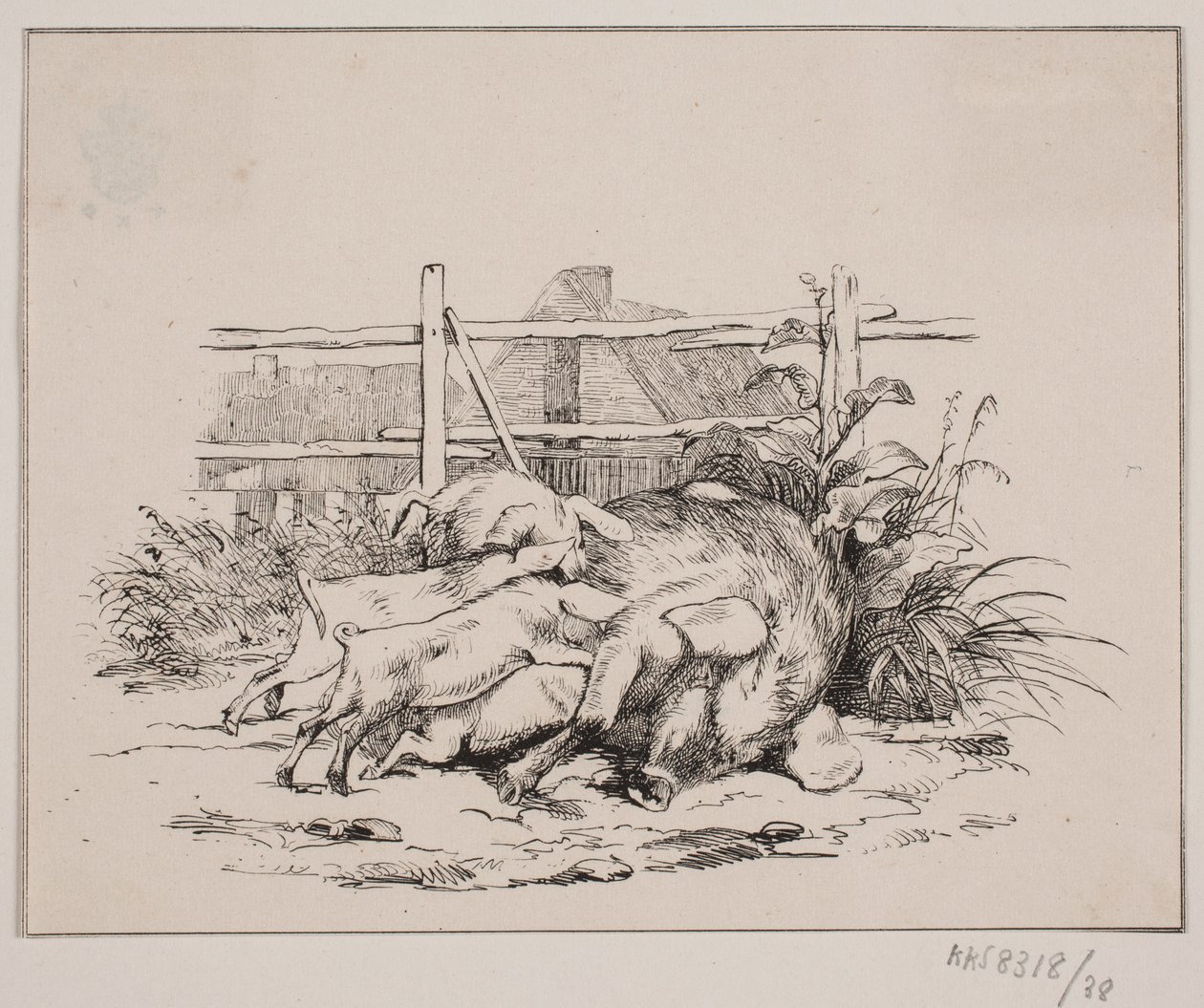 Los Cerdos de Johan Adolph Kittendorff