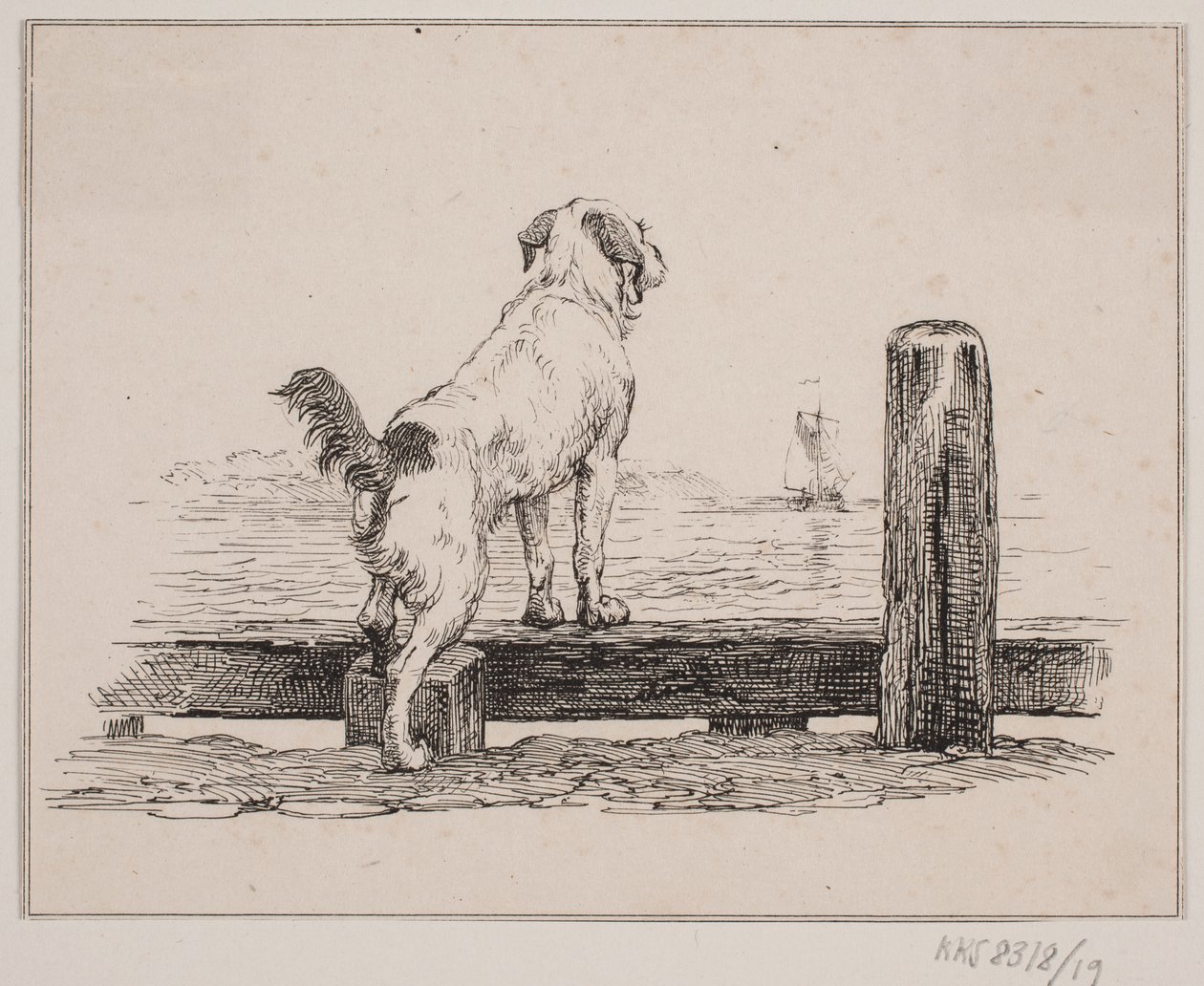 Perro en la playa de Johan Adolph Kittendorff