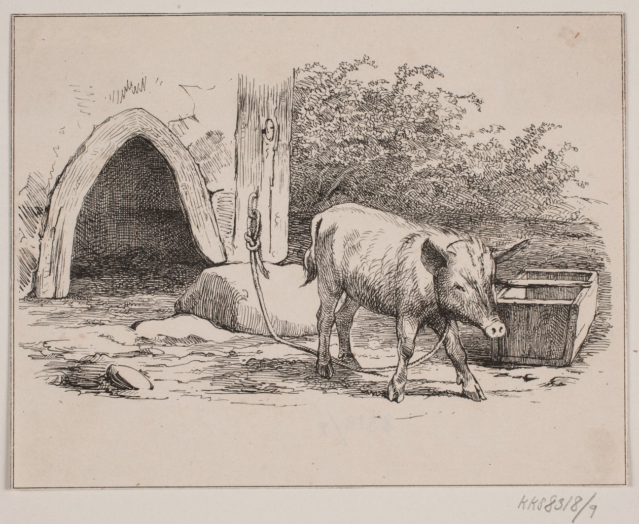El cerdo encadenado de Johan Adolph Kittendorff
