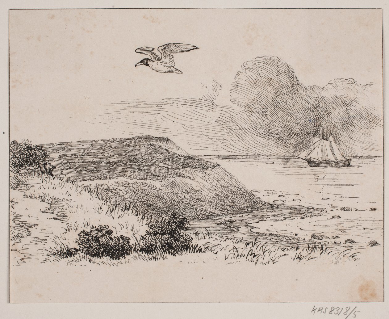 La gaviota de Johan Adolph Kittendorff