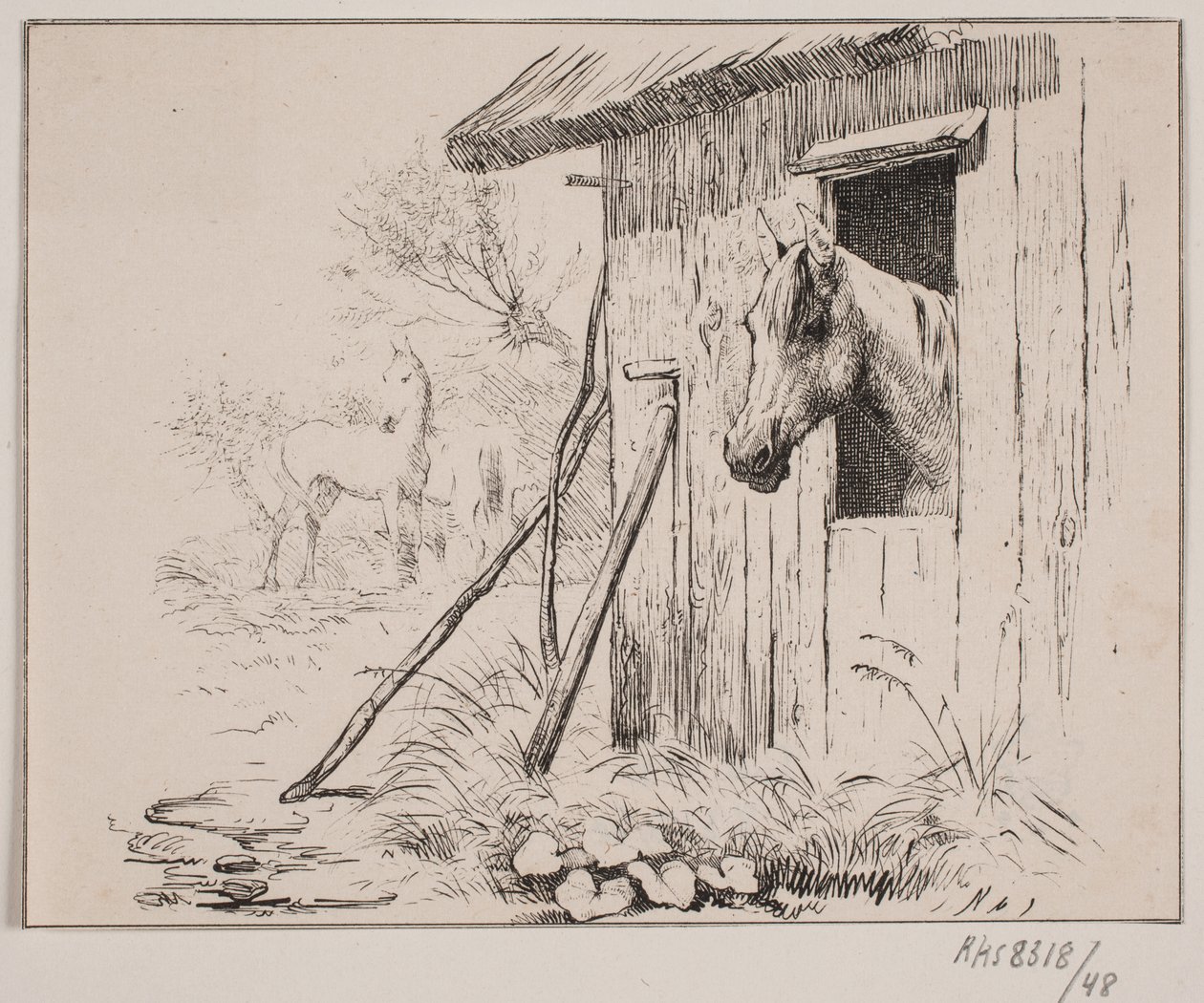El caballo del molino de Johan Adolph Kittendorff