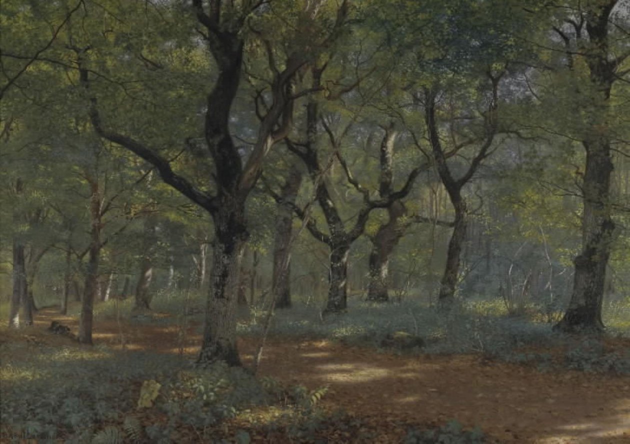 Dentro del bosque de Adolph Larsen