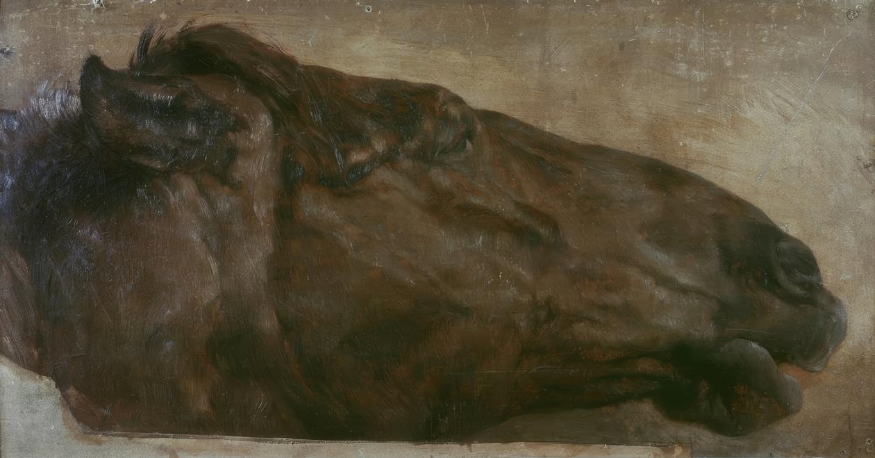 Estudio de caballo. Cabeza en vista lateral hacia la derecha de Adolph Menzel