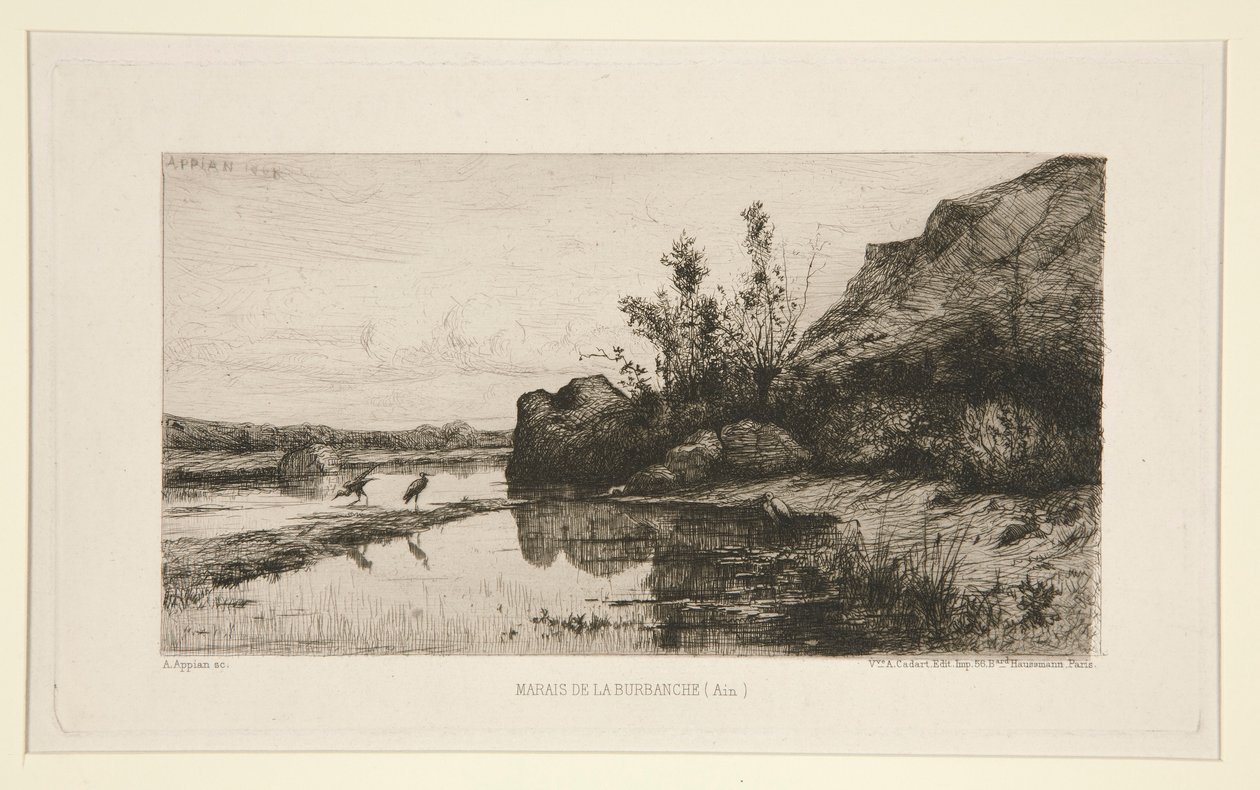 Pantano de Burbanche (Ain) de Adolphe Appian