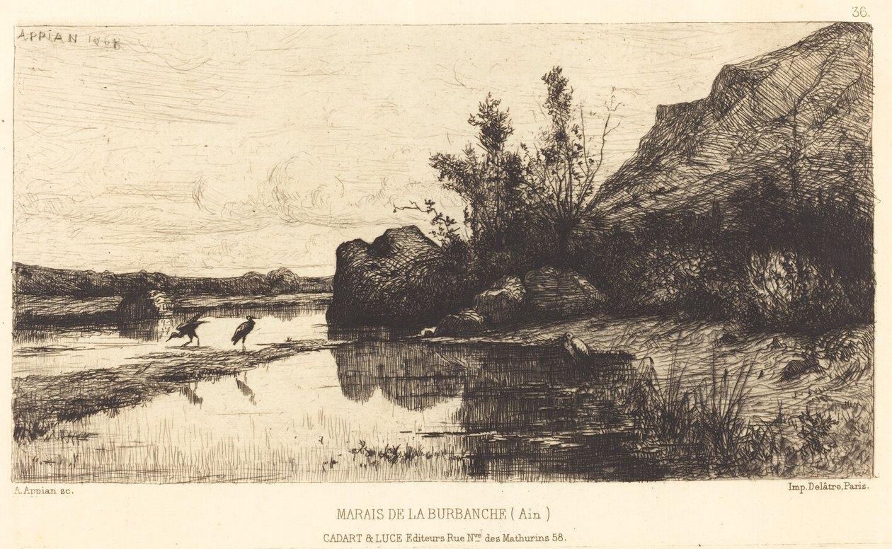 Pantano de la Burbanche de Adolphe Appian
