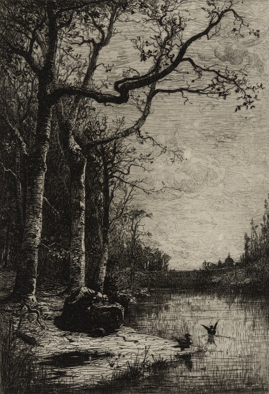 El Pantano de Burbanche (gran placa), c.1870 de Adolphe Appian