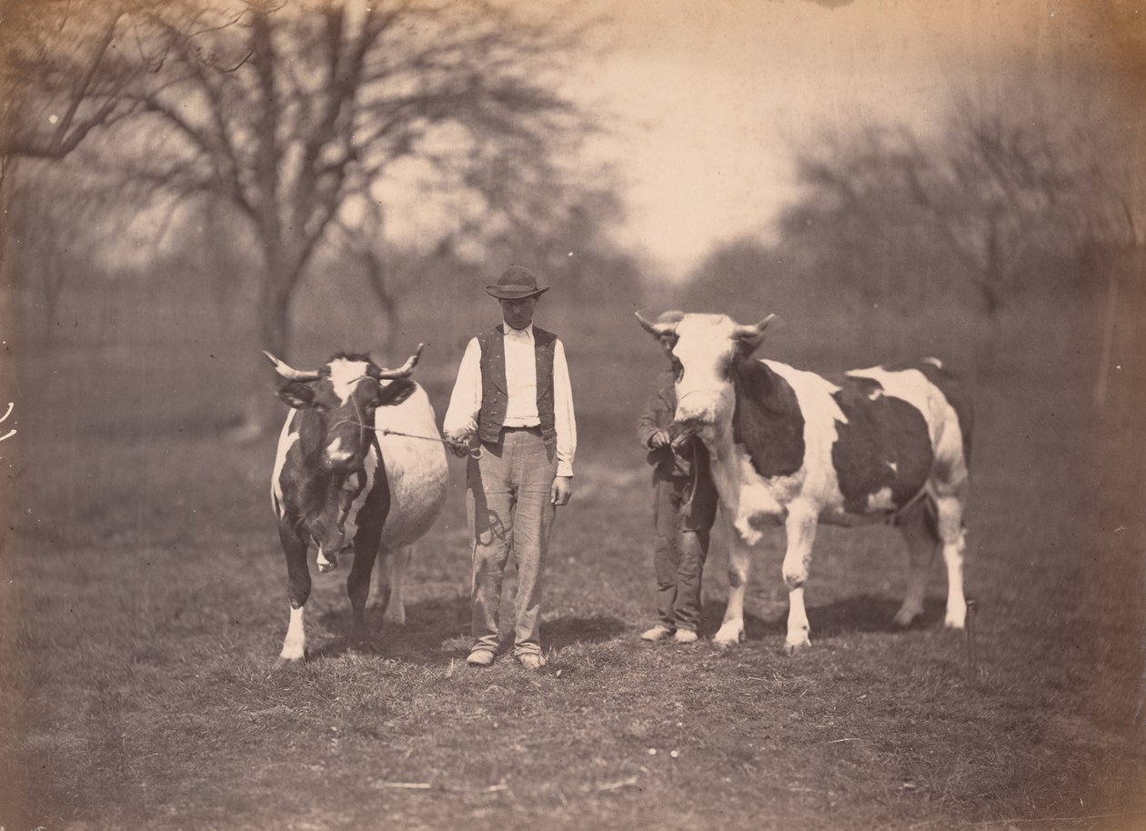 Paisaje,c. 1864 (foto) de Adolphe Braun