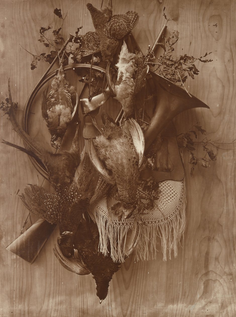 Faisán y urogallo, ca. 1865 de Adolphe Braun