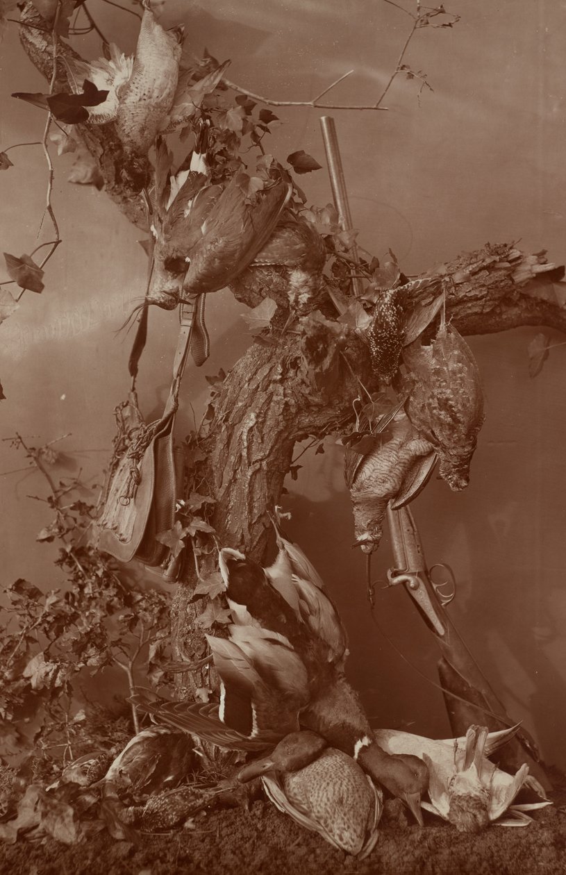 [Still Life: Dead Game] de Adolphe Braun