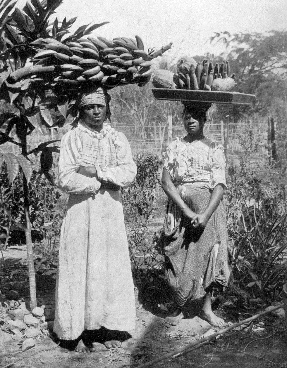Vendedores de frutas, Jamaica, c. 1905 de Adolphe Duperly and Son