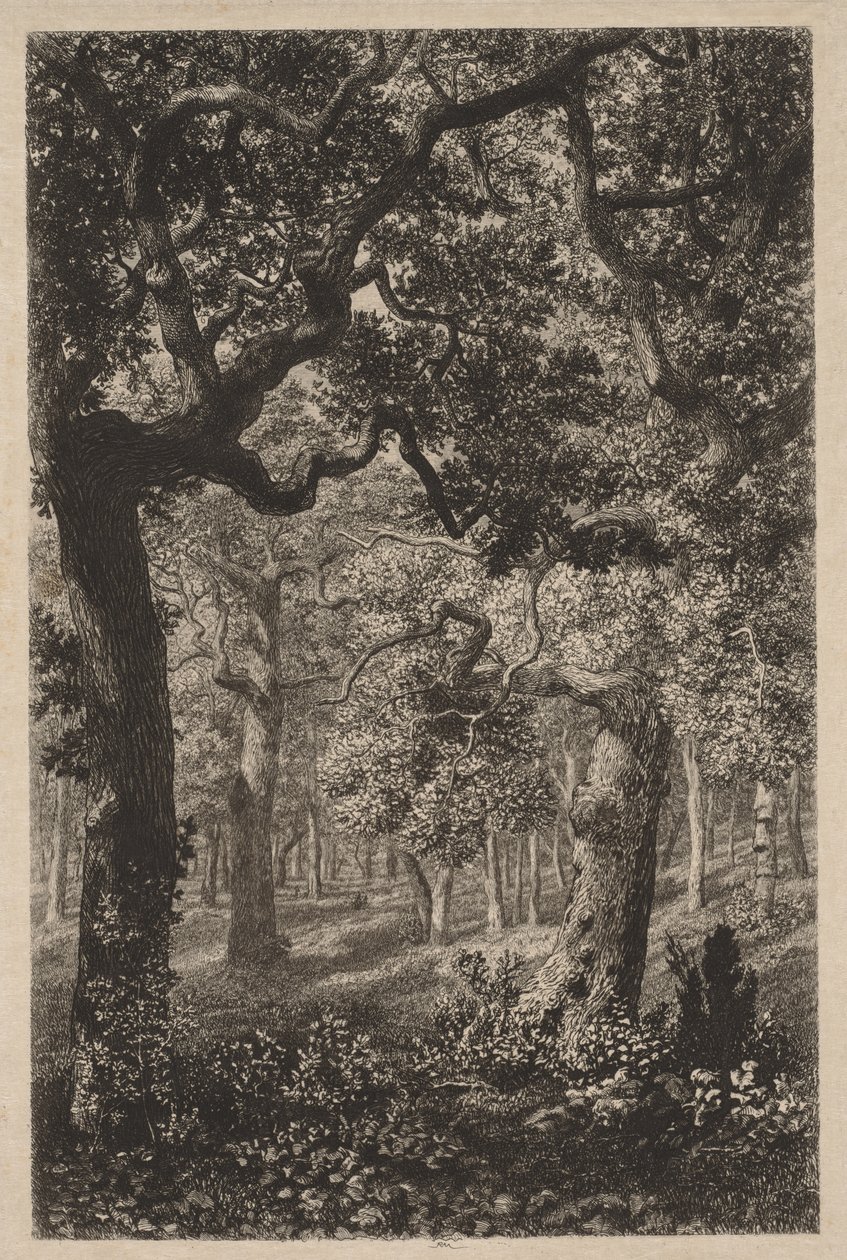 En el bosque de Adolphe Théodore Jules Martial Potémont