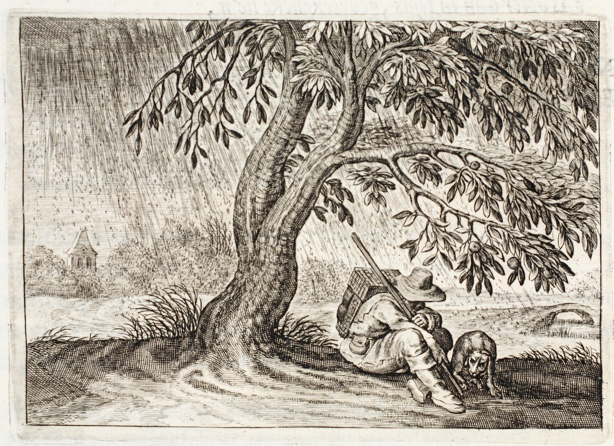 Refugio, ilustración de 
