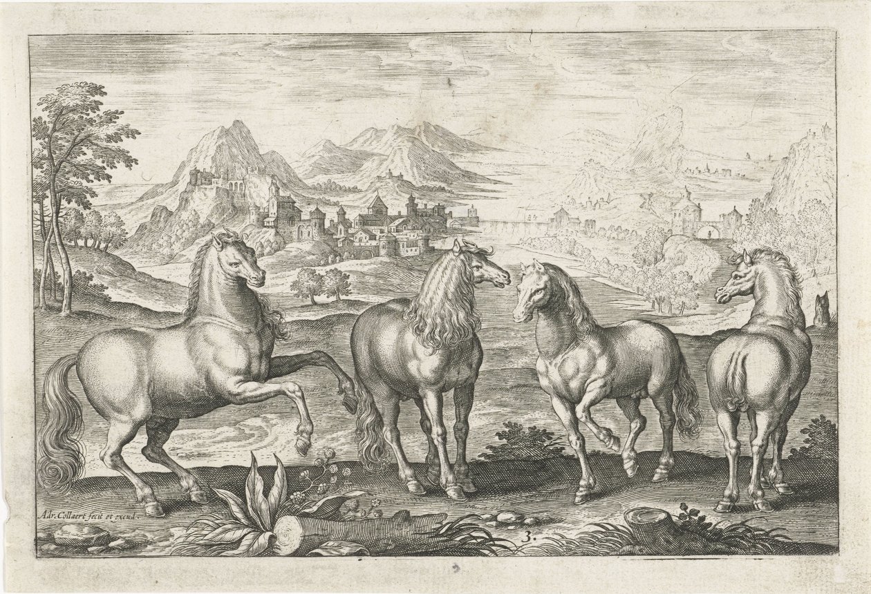 Caballos Animales de cuatro patas (título de la serie) Animalivm Qvaddrvpedvm (título de la serie) de Adriaen Collaert
