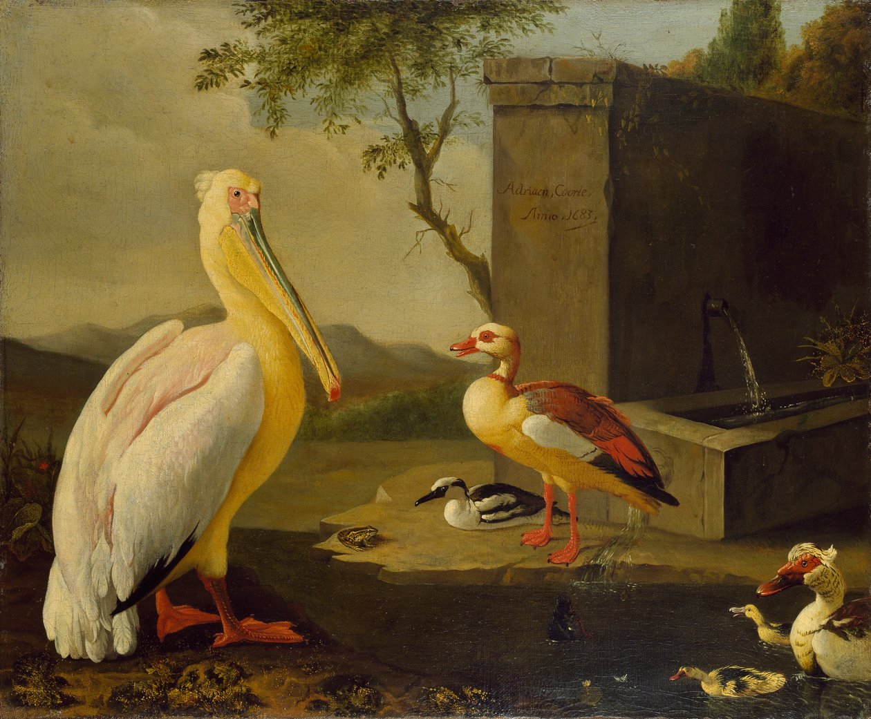 Aves Orientales, 1683 de Adrian Coorte