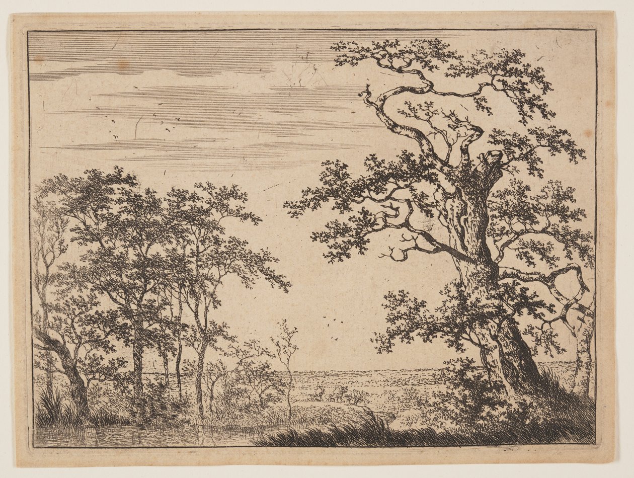 El estanque de Adriaen Hendricksz. Verboom