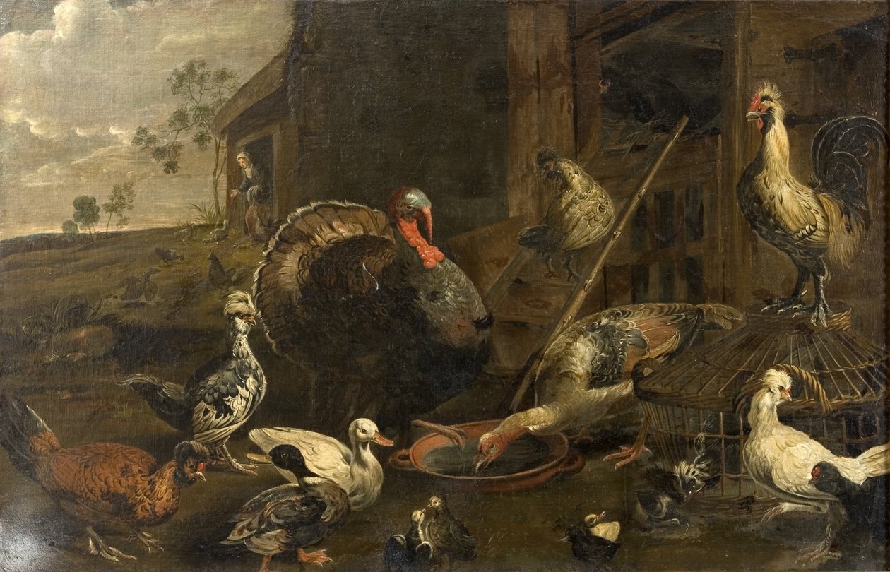 Gallinas, patos y un pavo de Adriaen van Utrecht