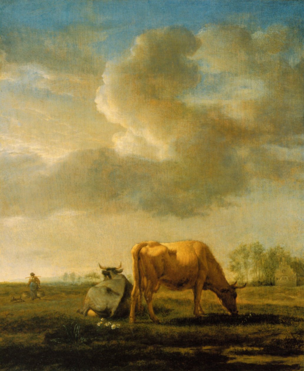 Vacas en un campo de Adriaen van de Velde
