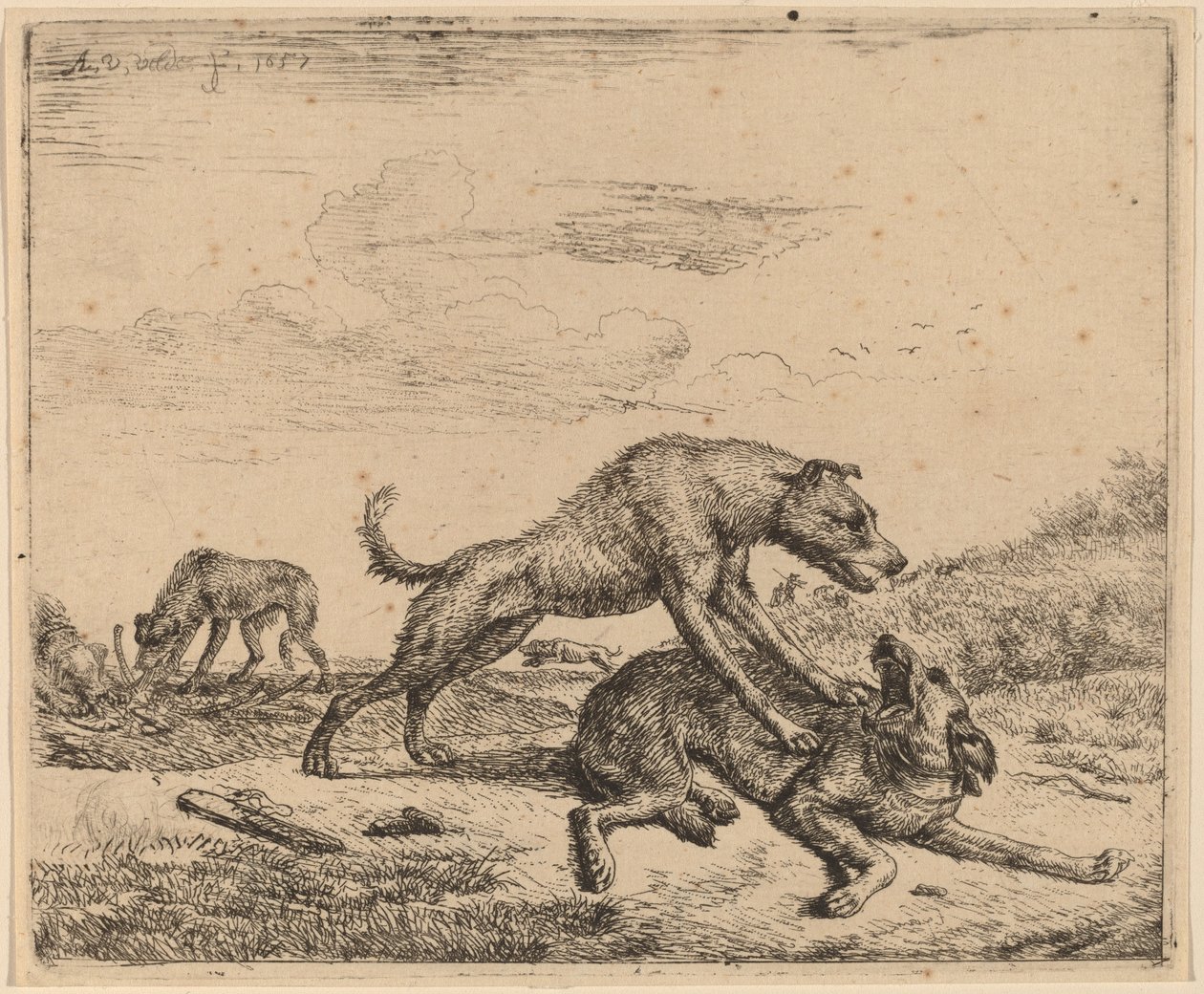 Perros peleando de Adriaen van de Velde