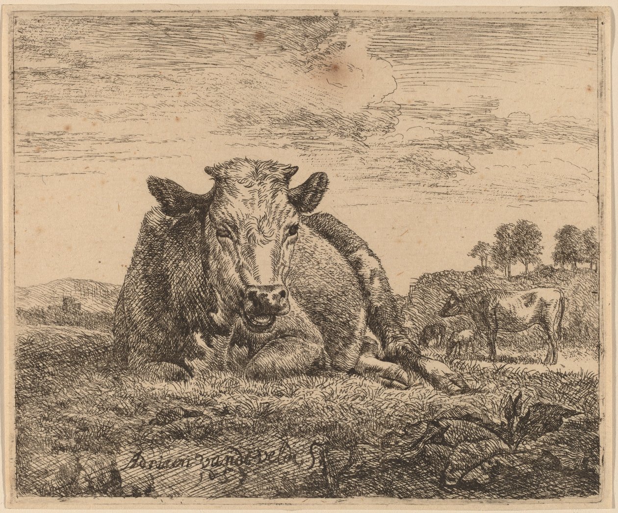 Vaca recostada de Adriaen van de Velde