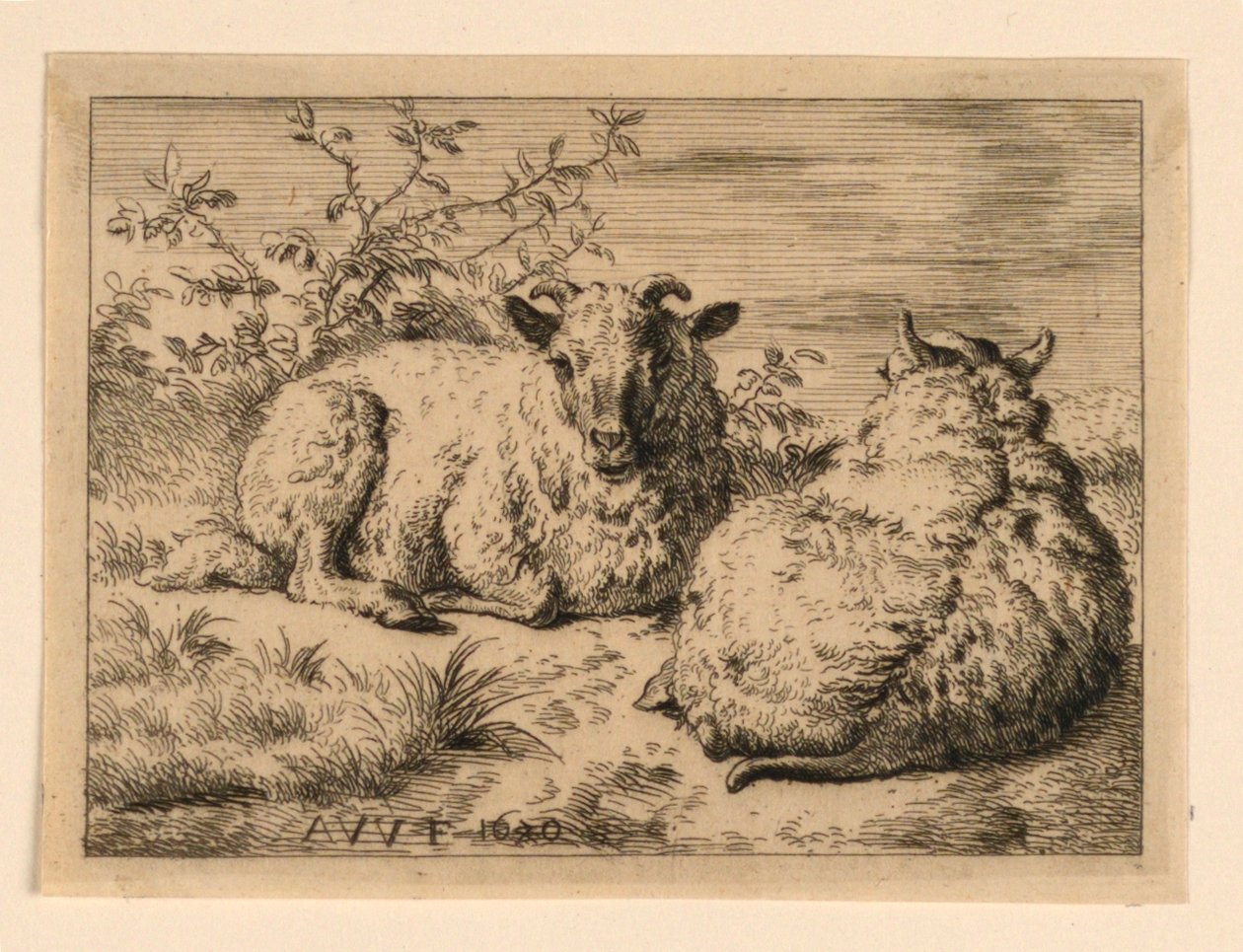 Las dos ovejas de Adrian van de Velde