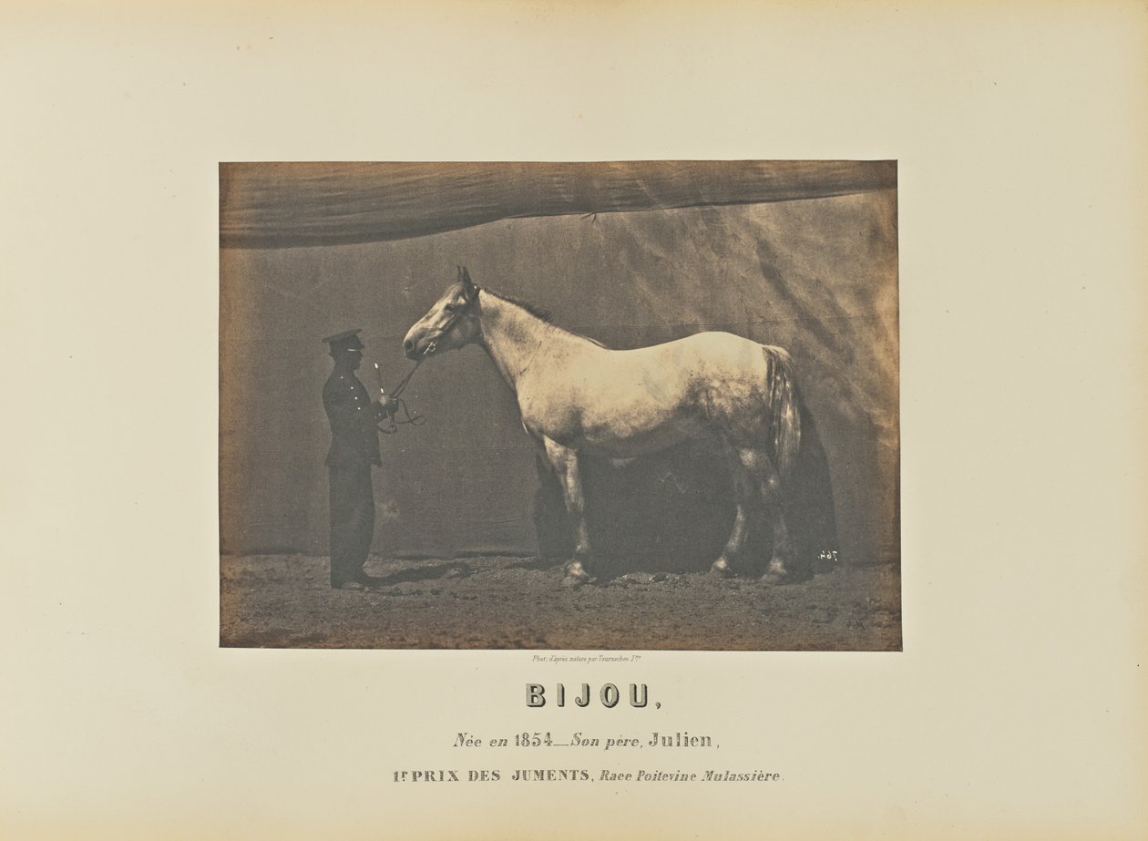 Bijou de Adrien Alban Tournachon