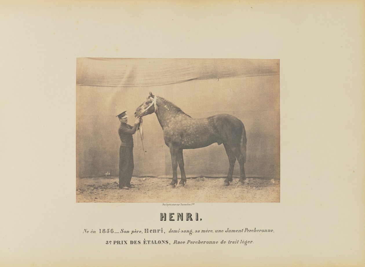 Henri de Adrien Alban Tournachon