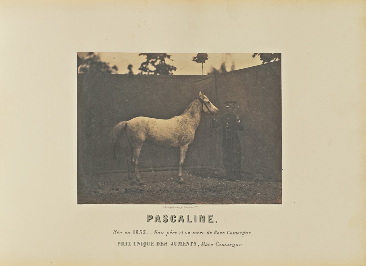 Pascaline de Adrien Alban Tournachon