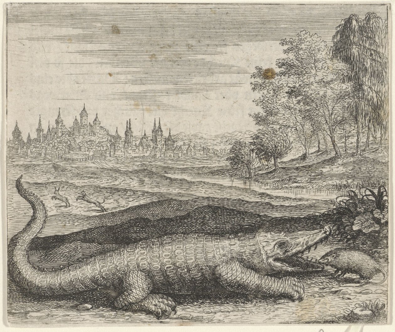 Fábula del cocodrilo y la mangosta de Egidius  Sadeler (II)