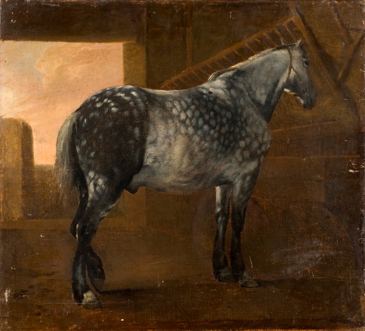 Un caballo gris moteado de Aelbert Cuyp