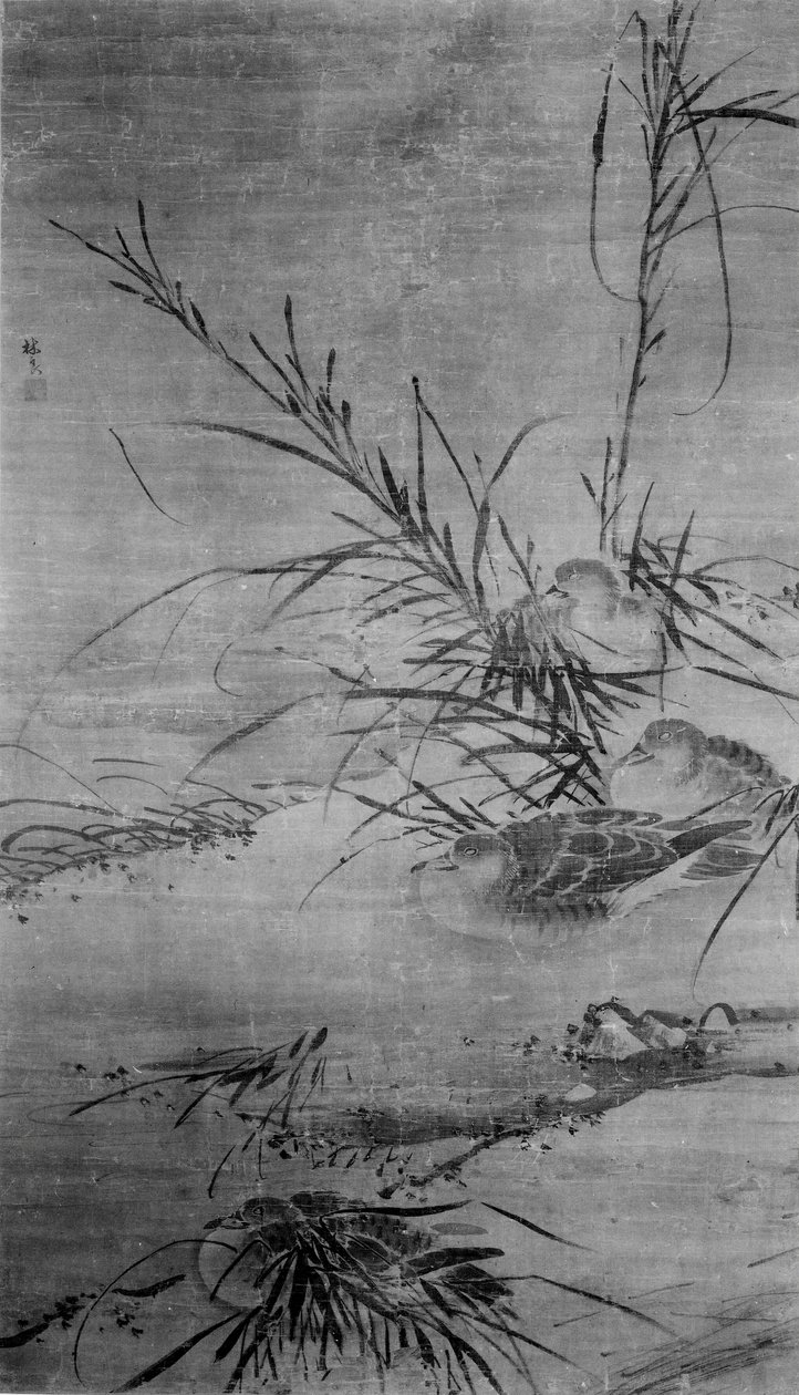 Patos y juncos de After Lin Liang