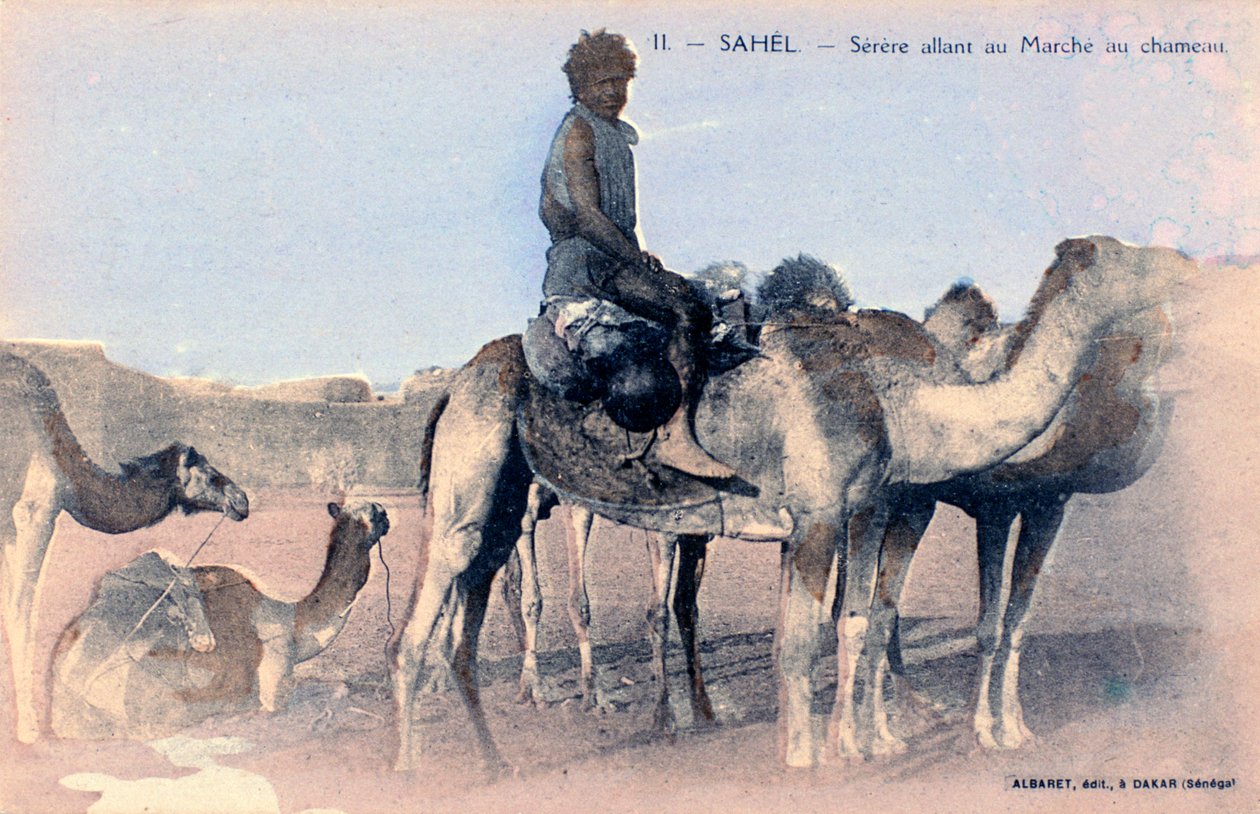 Serere, el Sahel, Senegal, siglo XX de Albaret