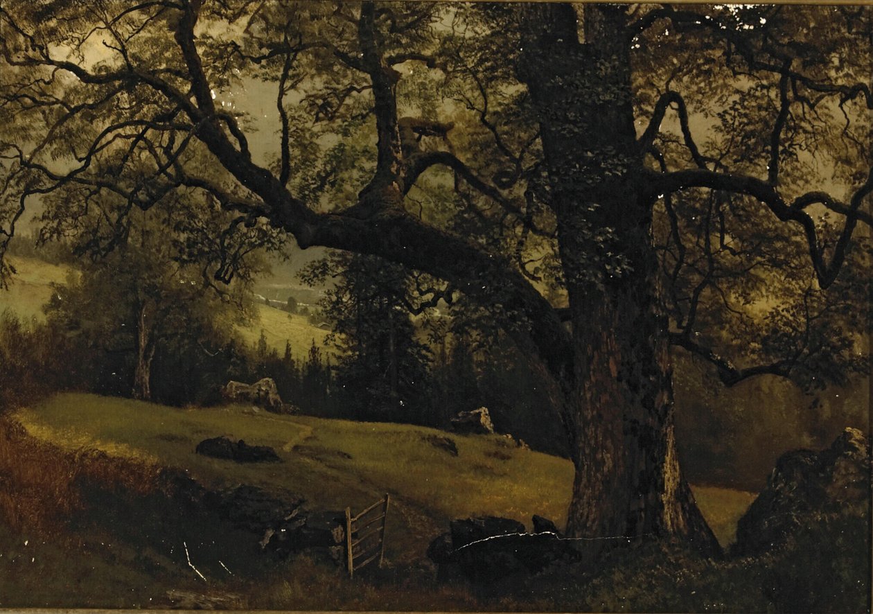 Un sendero a través de los árboles de Albert Bierstadt