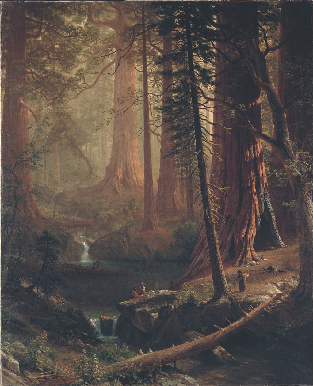 Árboles de secuoya gigantes de California de Albert Bierstadt