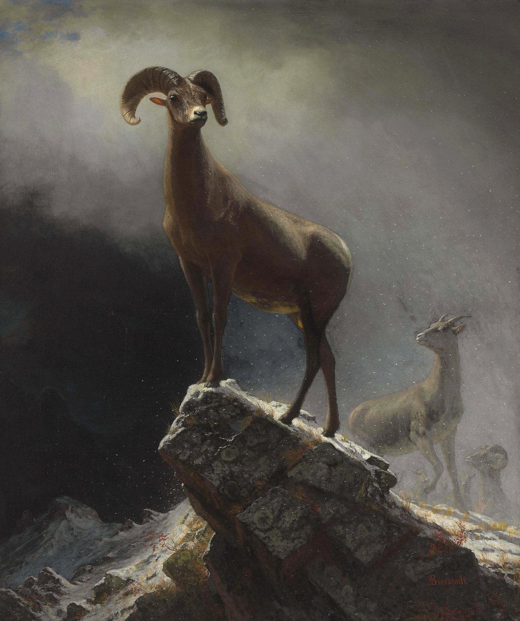Oveja de las Montañas Rocosas o Gran Cuerno, Ovis, Montana de Albert Bierstadt