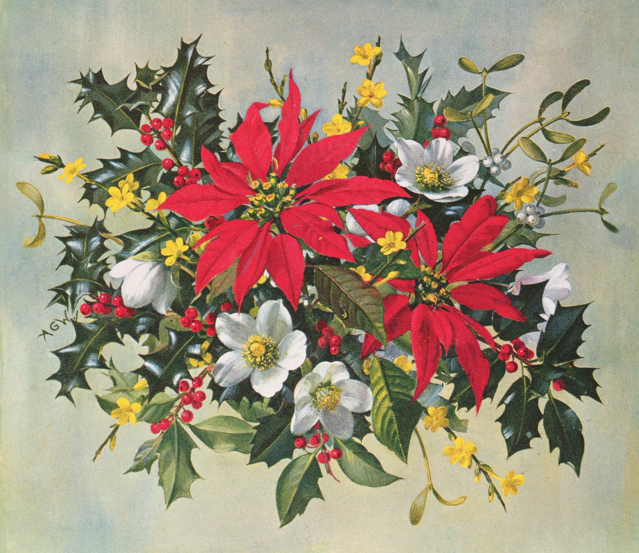 Flores de Navidad PB274 de Albert Williams