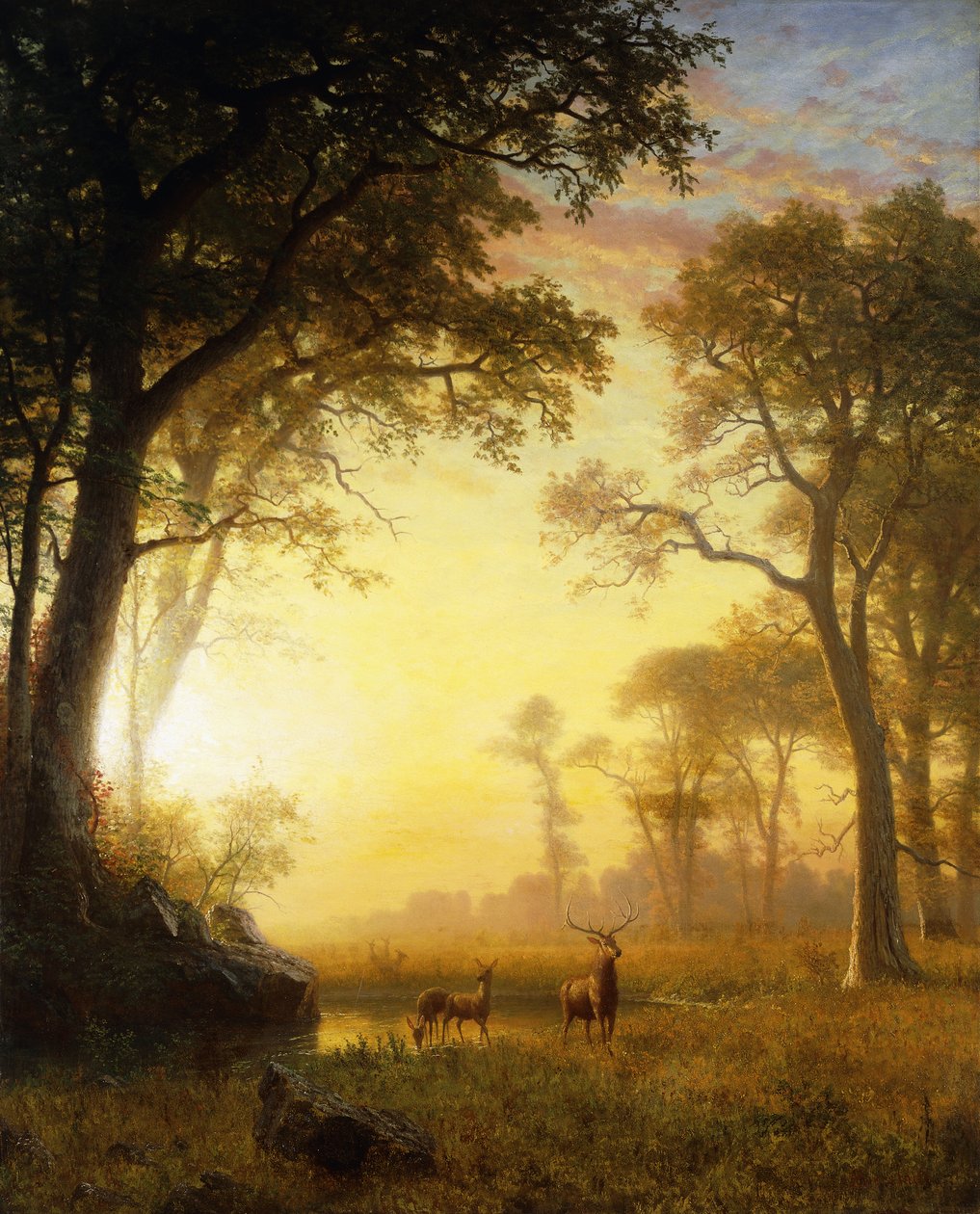 Luz en el bosque de Albert Bierstadt