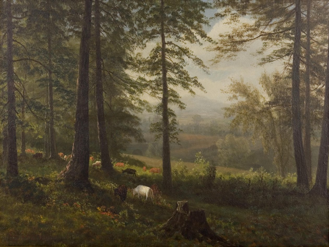 Vista a un claro de Albert Bierstadt