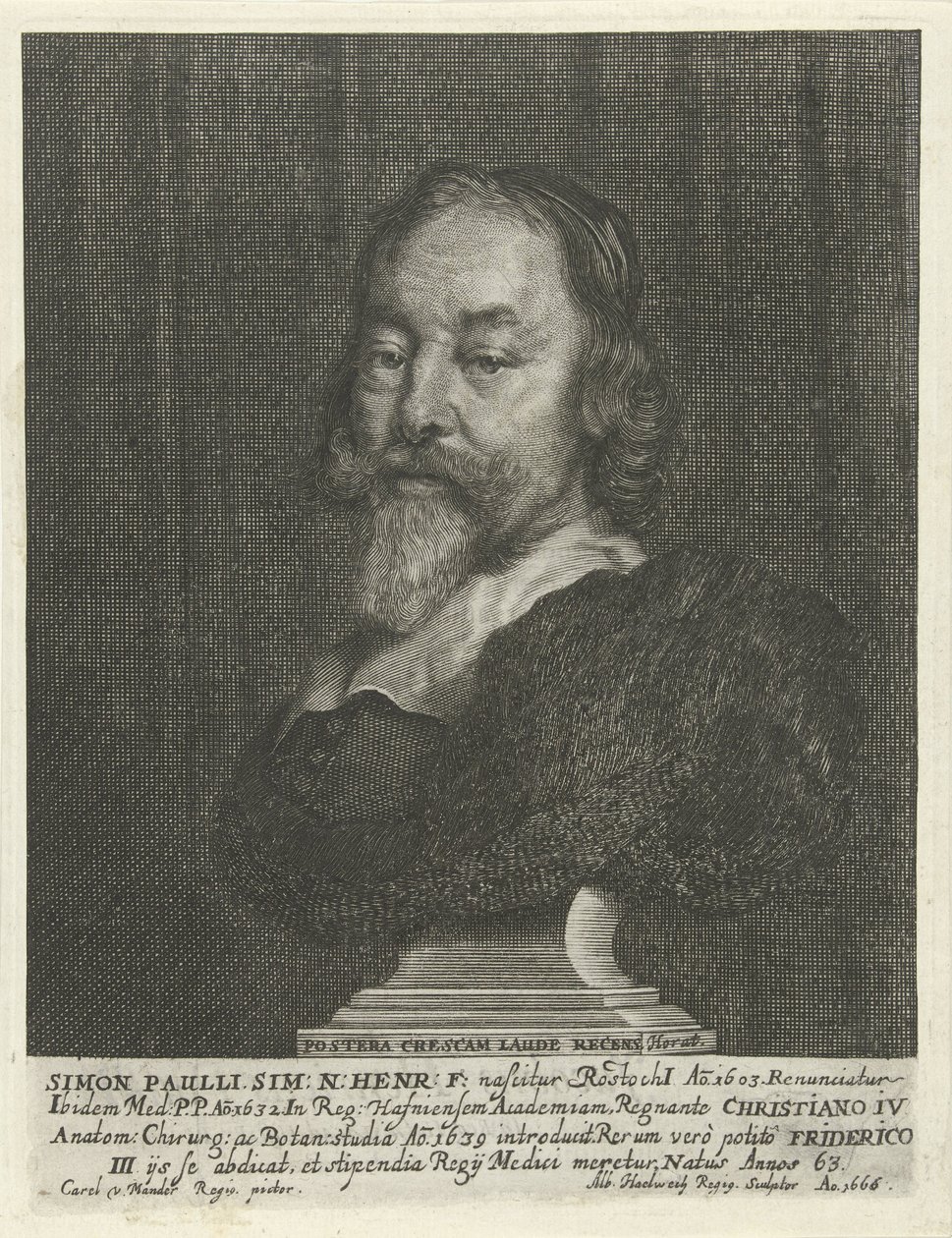 Buste de Simon Paulli de Albert Haelwegh