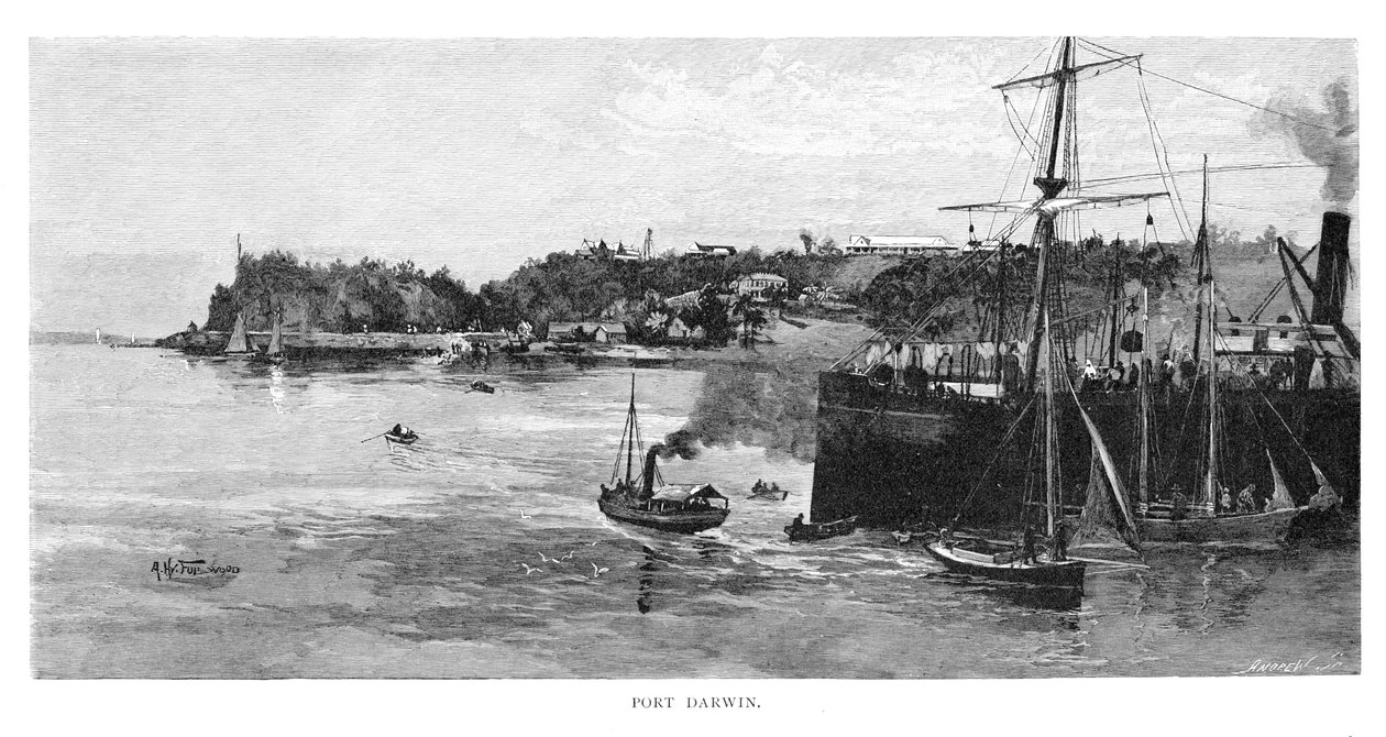 Puerto Darwin, 1886 de Albert Henry Fullwood