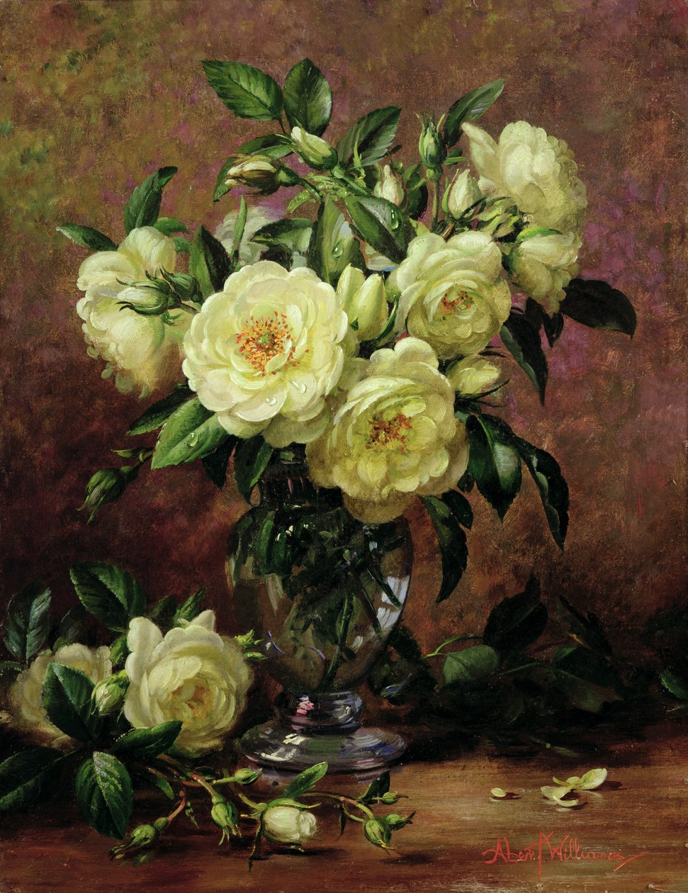 Rosas blancas, un regalo del corazón de Albert Williams