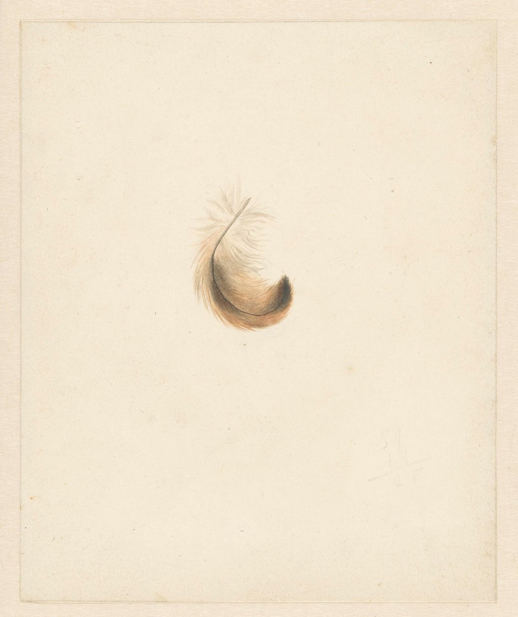 Estudio de una pluma de Albertus Steenbergen