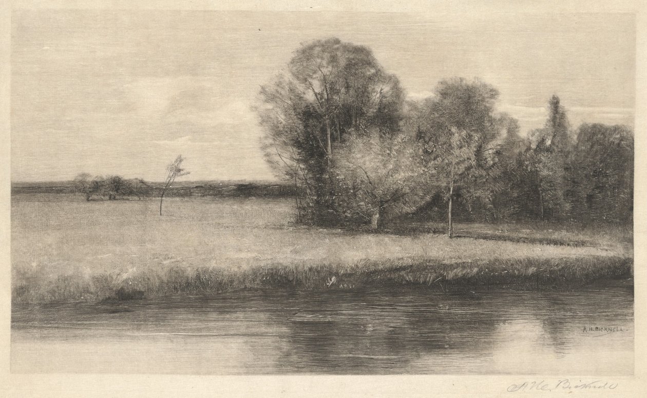 Un Prado Soleado junto a un Río de Albion Bicknell