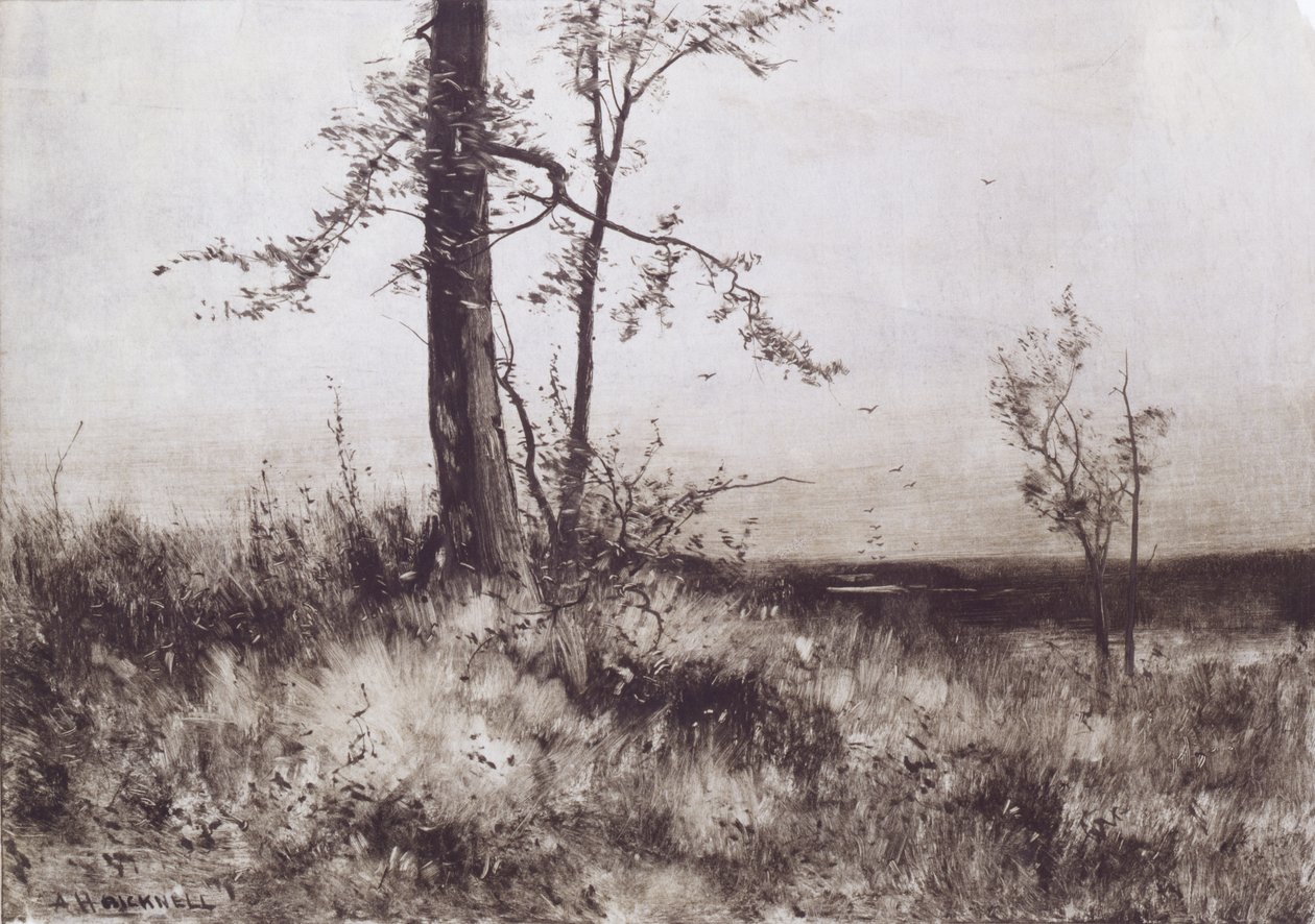Paisaje de Albion Harris Bicknell