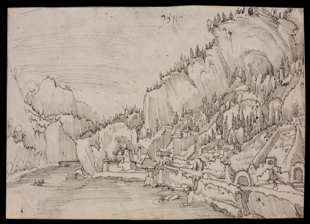 Sarmingstein an der Donau de Albrecht Altdorfer
