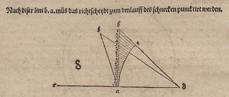 Espiral tangente y relacionadas de Albrecht Dürer