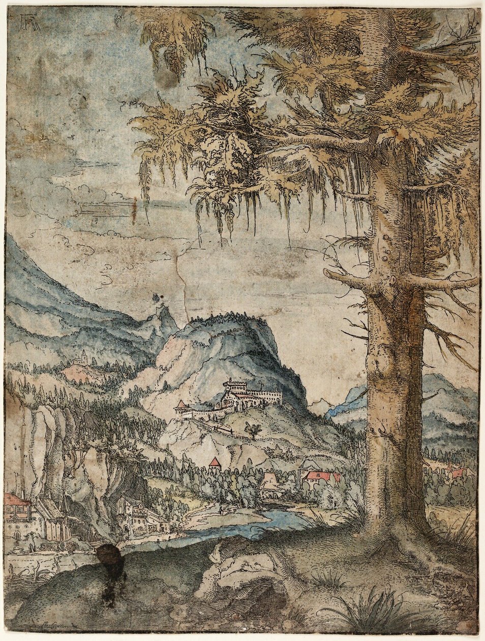 Alemán: The Large Spruce Gran abeto de Albrecht Altdorfer