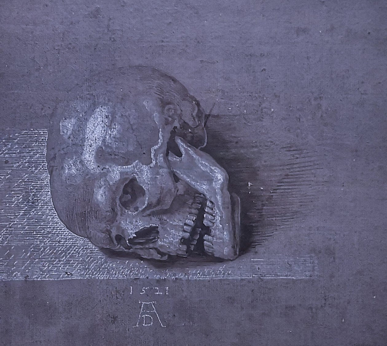 Alemán: Totenschädel. de Albrecht Dürer