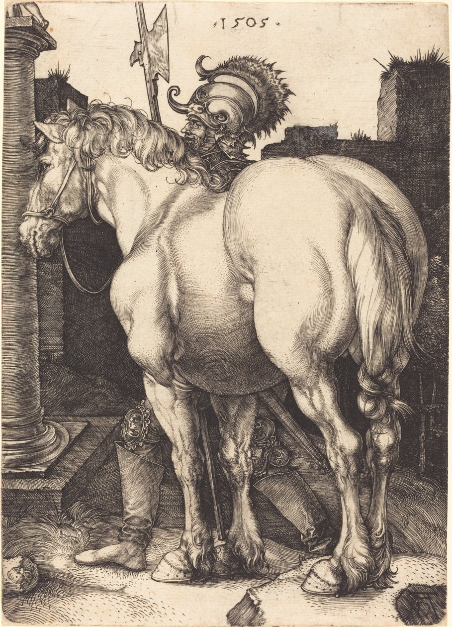 Caballo grande de Albrecht Dürer